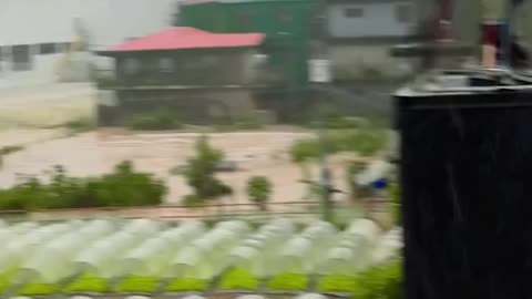 STRAWBERRY FARM SCENARIO The current situation at the la Trinidad strawberry farm in Betag.