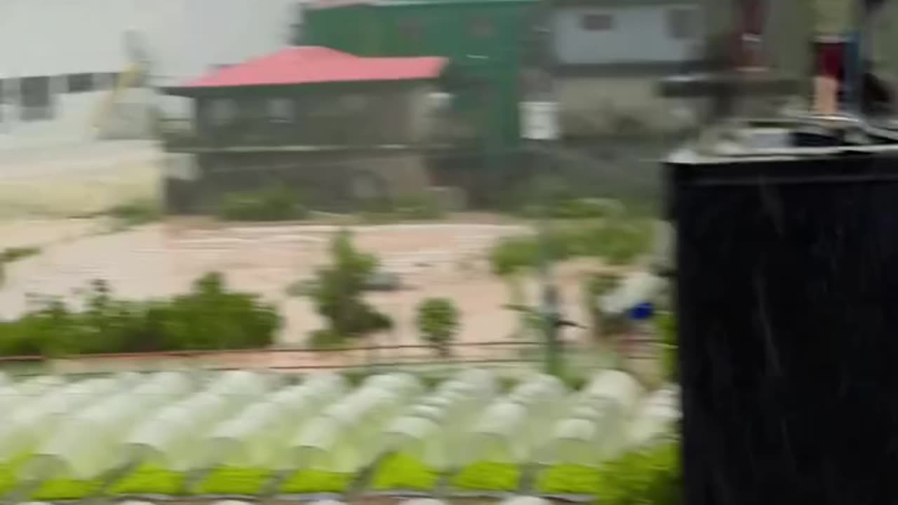 STRAWBERRY FARM SCENARIO The current situation at the la Trinidad strawberry farm in Betag.