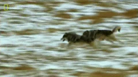 GDY ZDERZYŁY SIĘ AMERYKI dokument pl