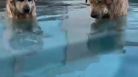 It's time for bath