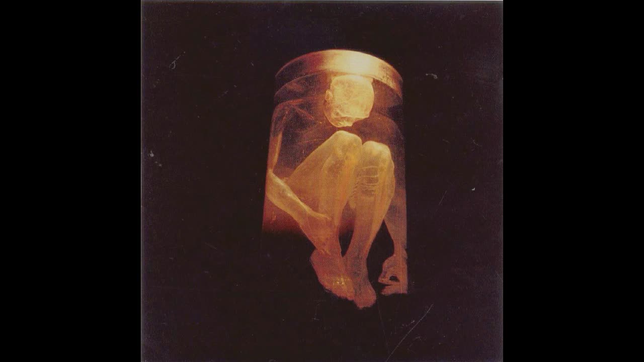 Alice In Chains - Nothing Safe
