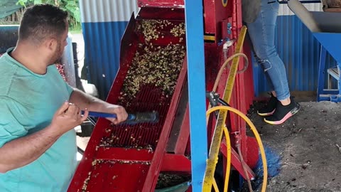 beneficio de cafe penagos