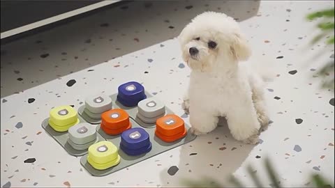 Recordable Pet Talking Button – 4 Colors, Dog & Cat Communication Toy