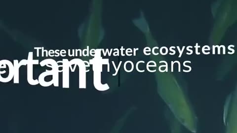 Celebrating Tang. É¢wan Â· á¸¤aÄxÊ·iqak Â· TsigÌ±i Canada's Newest Marine Protected Area