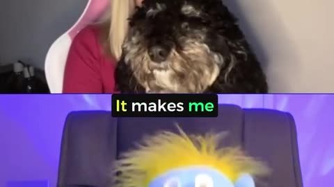 Puppy try to rizz