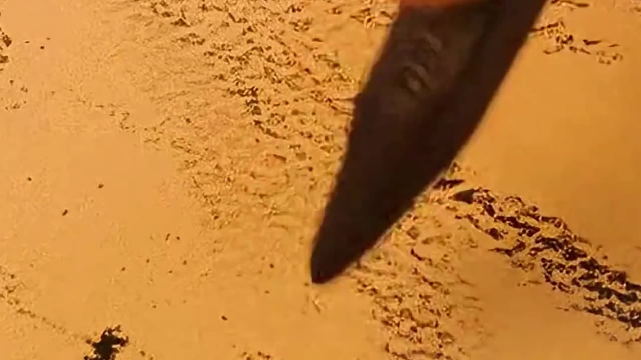 What Really Happened During That Titanic Drawing Scene?