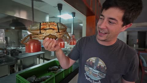 Sri Lanka's #1 Crab Curry 🇱🇰 Market to Table Seafood FEAST in Bentota!