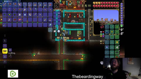 Terraria co-op