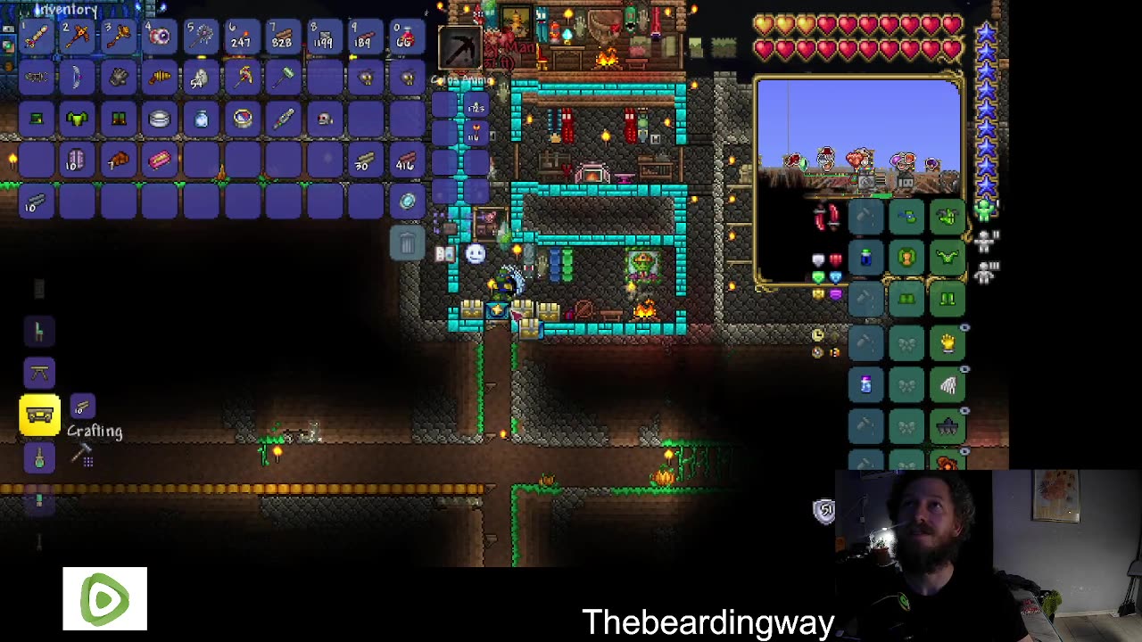 Terraria co-op