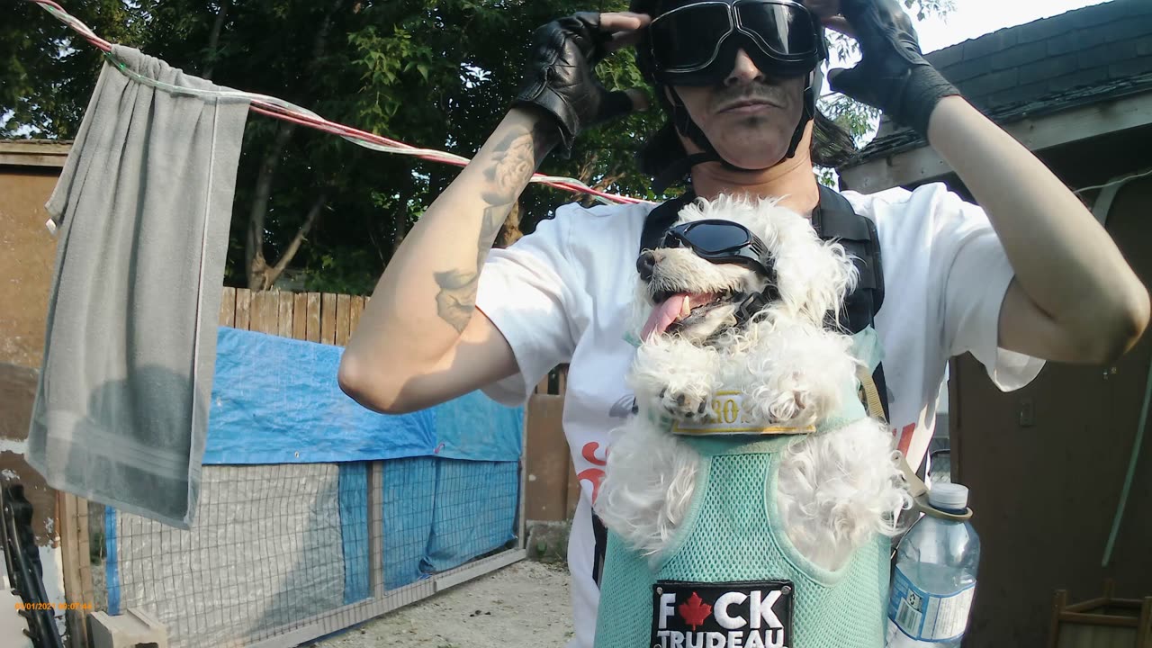 Living the dream on my motorcycle with my dog.