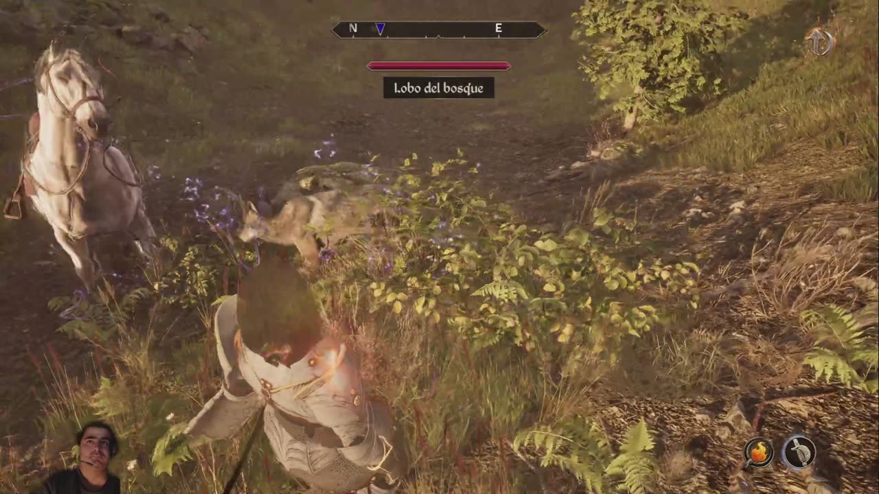 TES IV: Oblivion Remastered 13#