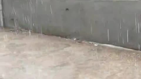 Heavy rains