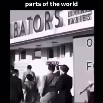 Remember cabbage patch dolls