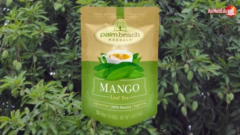 Efecto del Té de Hoja de Mango en el Organismo