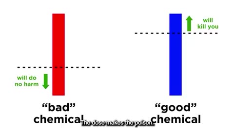 Everything you need to know and forget about vaccines (Dutch/NL Subs)