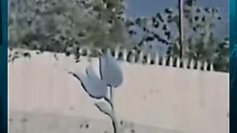 😱👻 You Won't Believe What They Caught on Camera! Ghostly Apparition | TheHauntingHour