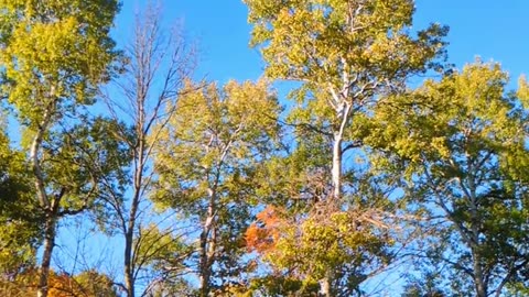 Driving down the bluff, Up North