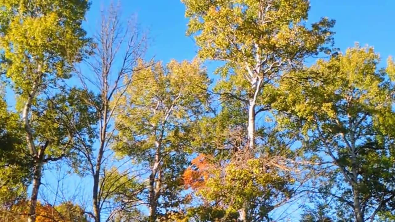 Driving down the bluff, Up North