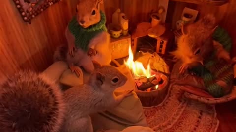 Large Acorn Squirrel Home