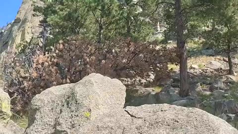 Shia, video recorded 10:25 AM July, 28, '25 by Alyssa Devils' Tower (God's Tower) National Monument