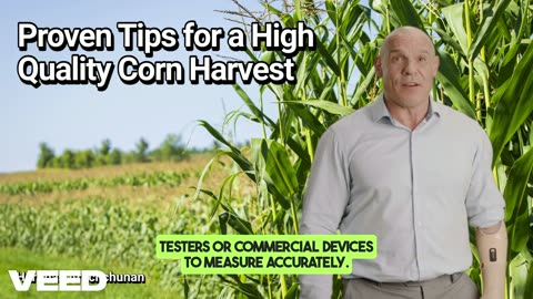 Mastering Corn Silage: Proven Tips for a High Quality Corn Harvest