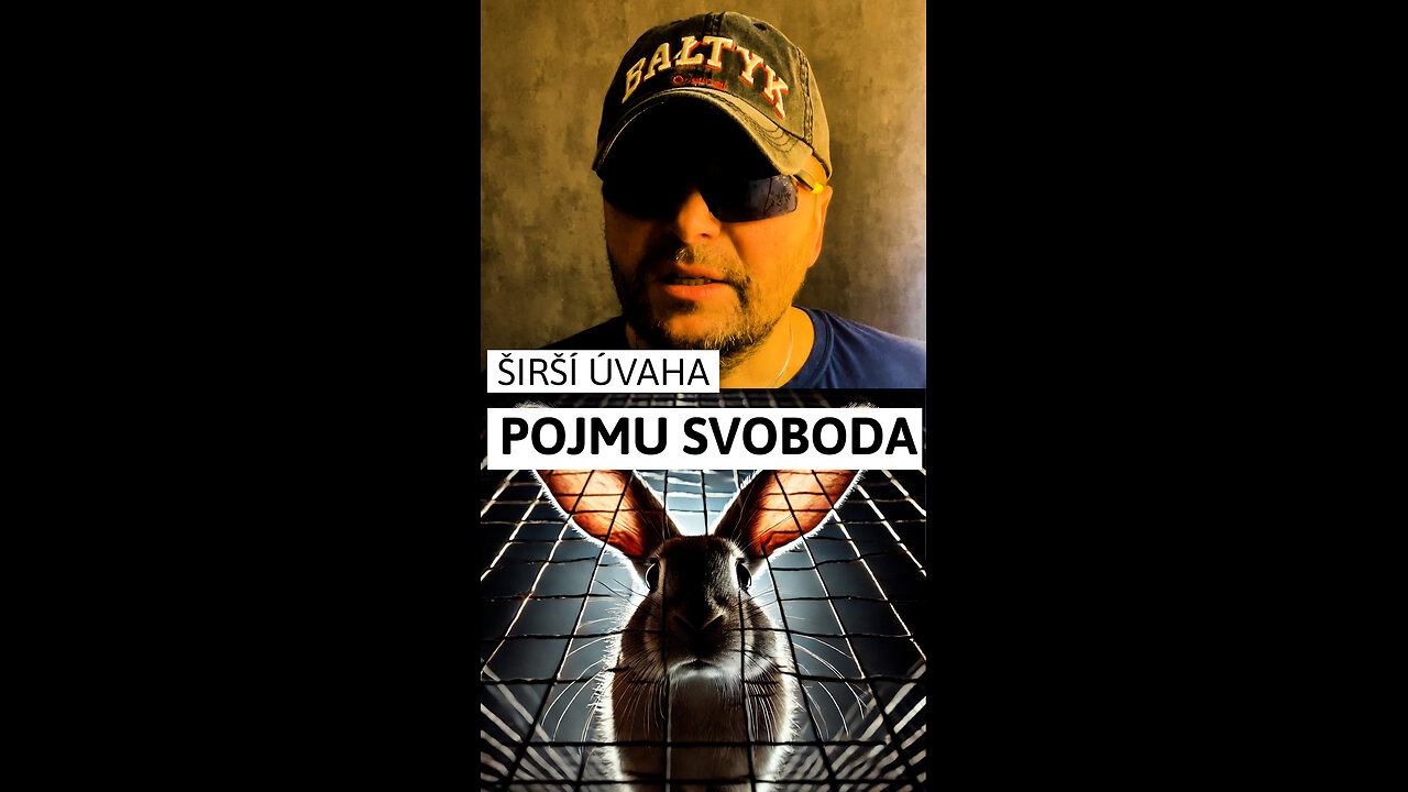🕊️ POJEM SVOBODA – ŠIRŠÍ ÚVAHA 💡