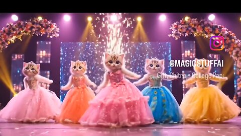 cat dance