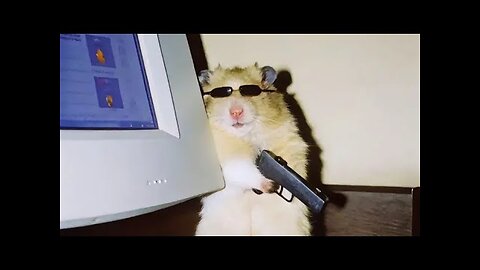 Hilarious Dogs & Cats Moments That Will Make Your Day!