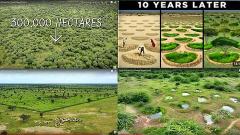 "The Great Green Wall: Transforming Africa's Landscape into a Resilient Food Forest"