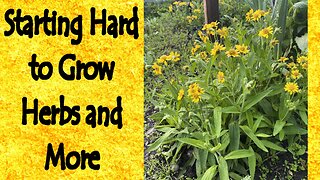 Starting Hard to Grow Herbs and More