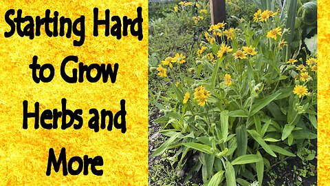 Starting Hard to Grow Herbs and More