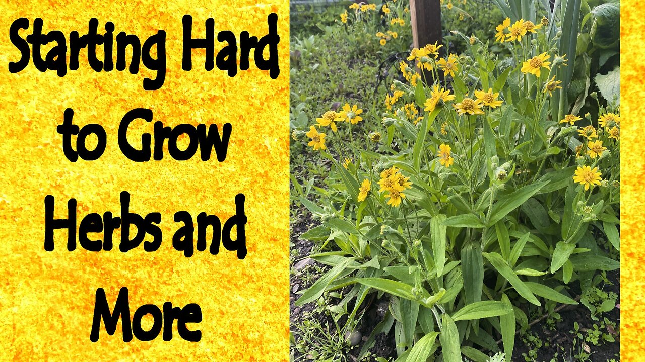 Starting Hard to Grow Herbs and More