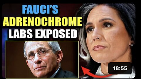 Tulsi Gabbard Exposes Fauci's Ukraine Biolabs as Adrenochrome Factories