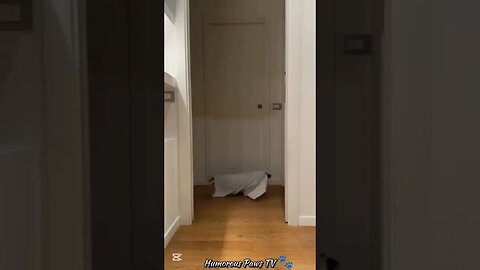 The Funniest 37 Seconds You’ll See All Day!