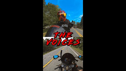 The Voices Are Back!