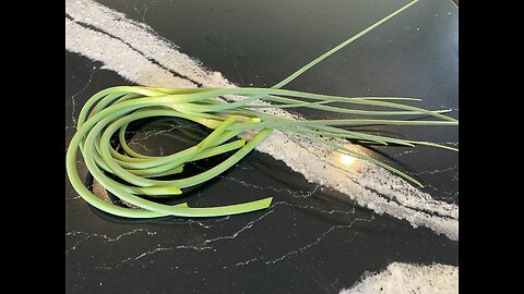 Garlic Scapes and how to Harvest them