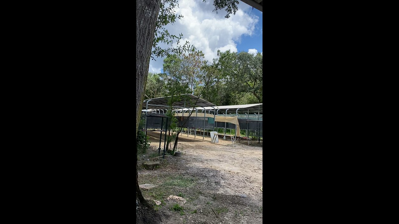 Aviary almost finished