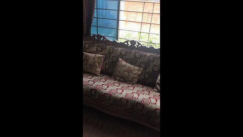 Bird chirping