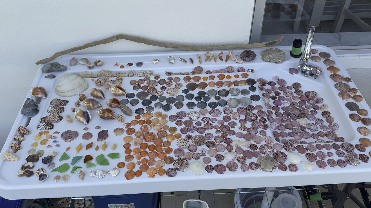 Beach Finds 6/8/2025 | 4K