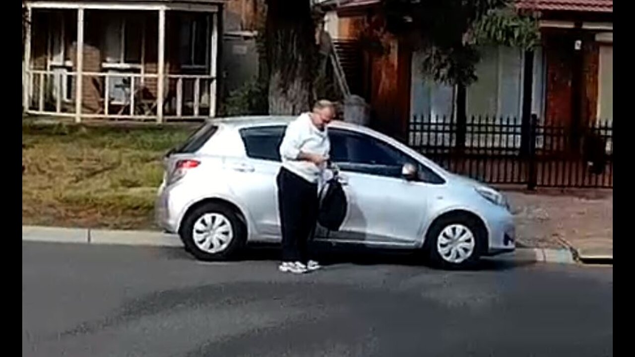 Stalkers handlers the worldwide organised stalking programme