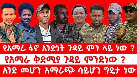 የአማራ ፋኖ አንድነት ጉዳይ ምን ላይ ነው ? // የአማራ ቅድሚያ ጉዳይ ምንድነው ? // አንድ መሆን አማራጭ ሳይሆን ግዴታ ነው