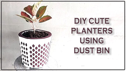 DIY Cute Cement Pots Using Dust Bin Mold 🪴✨ | Easy Planter Ideas with Cement