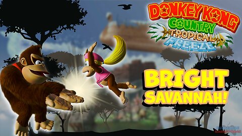 Tropical Freeze: World 3 Bright Savannah - 100% Complete 2 Player Walkthrough (No Commentary). 4K