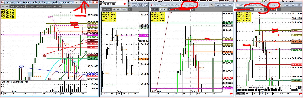 #Cattle near All time highs, Extreme #ScrewWorm US #LC #FC