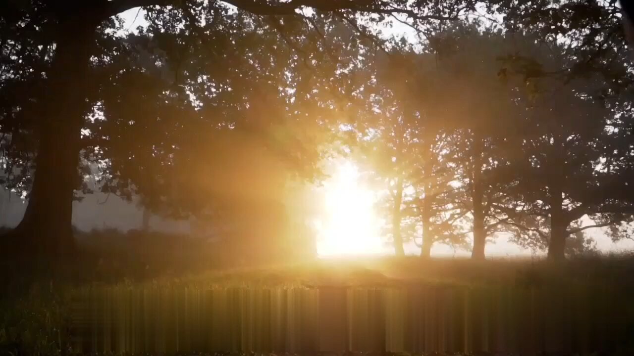 STH - In The Light