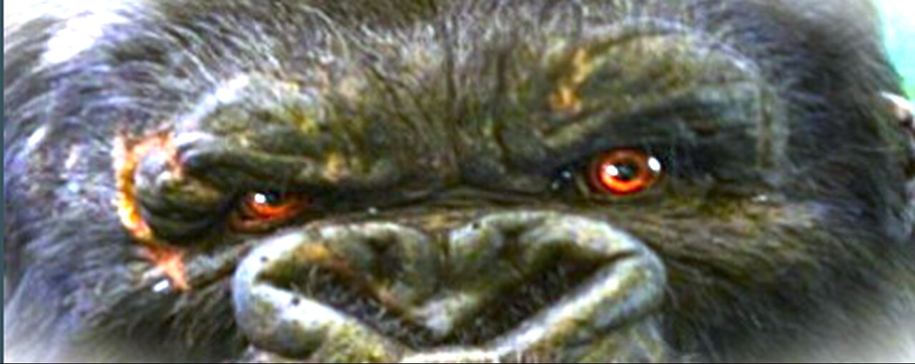 Grumpy Games - No idea
