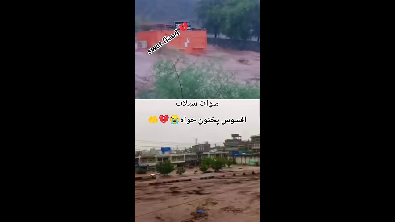 selab pakistan