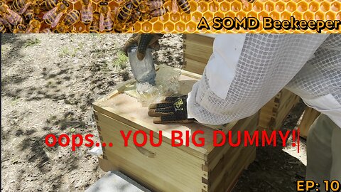SOMD Beekeeping ep: 10 - Inspections