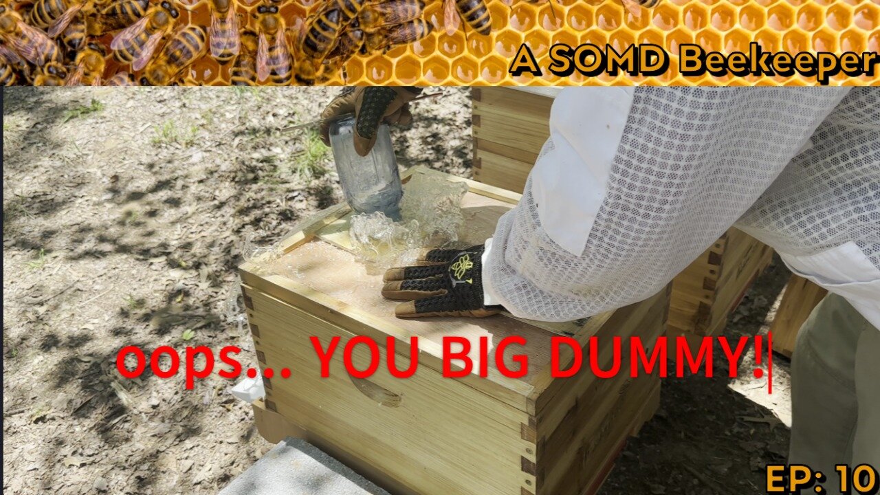 SOMD Beekeeping ep: 10 - Inspections
