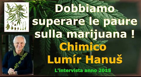 Dobbiamo superare le paure sulla marijuana, afferma il famoso chimico Lumír Hanuš